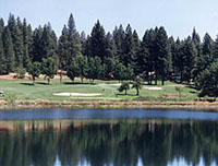 Forest Meadows Community